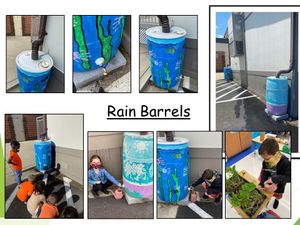 Rain Barrels